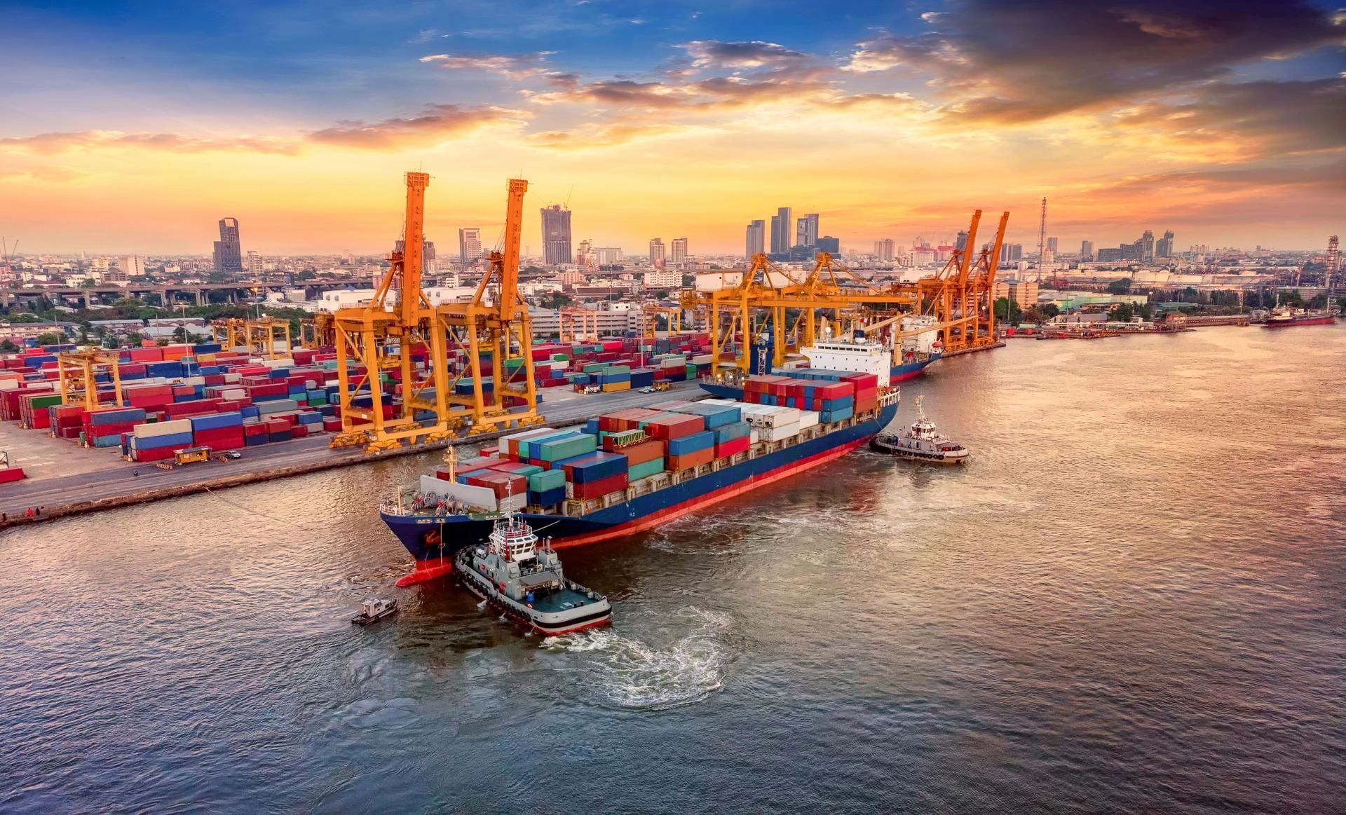 Features of Nexabong Overseas Ventures Private Limited